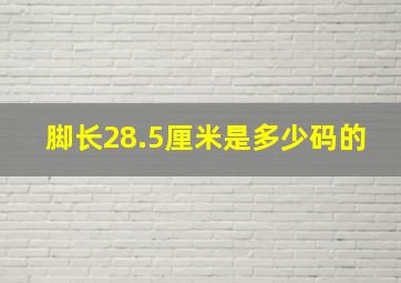 脚长28.5厘米是多少码的