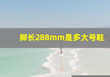 脚长288mm是多大号鞋