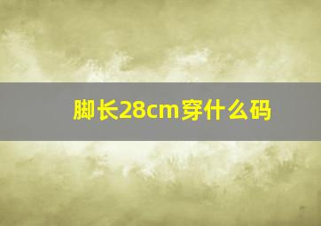 脚长28cm穿什么码