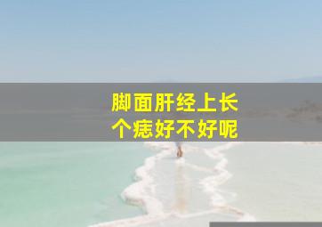 脚面肝经上长个痣好不好呢