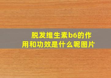 脱发维生素b6的作用和功效是什么呢图片