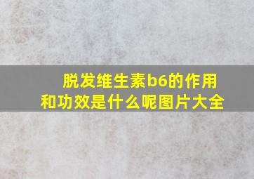 脱发维生素b6的作用和功效是什么呢图片大全