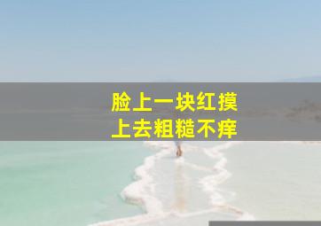 脸上一块红摸上去粗糙不痒