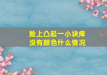 脸上凸起一小块痒没有颜色什么情况