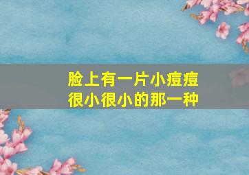 脸上有一片小痘痘很小很小的那一种