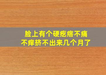 脸上有个硬疙瘩不痛不痒挤不出来几个月了