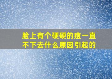 脸上有个硬硬的痘一直不下去什么原因引起的