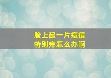 脸上起一片痘痘特别痒怎么办啊