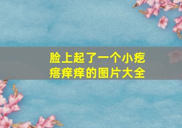 脸上起了一个小疙瘩痒痒的图片大全