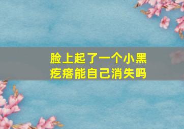 脸上起了一个小黑疙瘩能自己消失吗