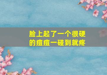 脸上起了一个很硬的痘痘一碰到就疼