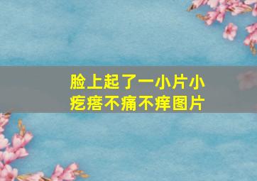 脸上起了一小片小疙瘩不痛不痒图片