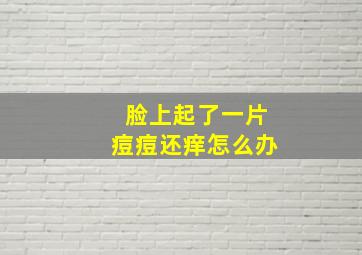 脸上起了一片痘痘还痒怎么办