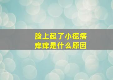 脸上起了小疙瘩痒痒是什么原因