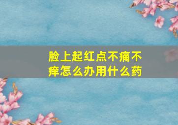 脸上起红点不痛不痒怎么办用什么药