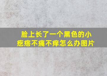 脸上长了一个黑色的小疙瘩不痛不痒怎么办图片