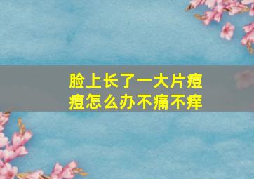 脸上长了一大片痘痘怎么办不痛不痒