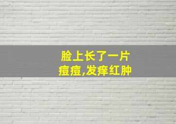 脸上长了一片痘痘,发痒红肿