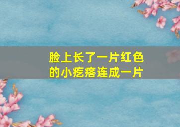 脸上长了一片红色的小疙瘩连成一片