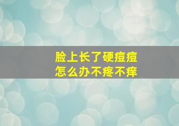 脸上长了硬痘痘怎么办不疼不痒