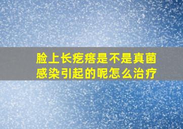 脸上长疙瘩是不是真菌感染引起的呢怎么治疗