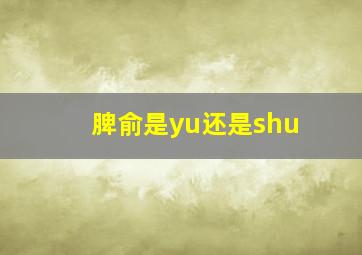 脾俞是yu还是shu