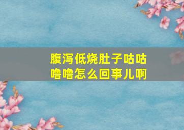 腹泻低烧肚子咕咕噜噜怎么回事儿啊