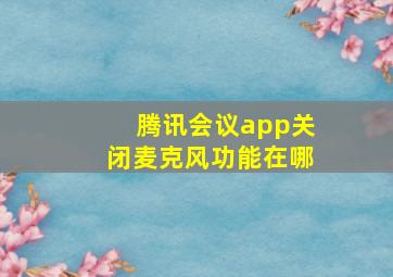 腾讯会议app关闭麦克风功能在哪