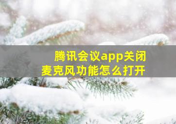 腾讯会议app关闭麦克风功能怎么打开