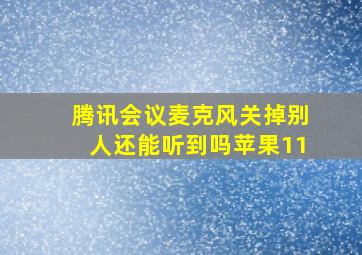 腾讯会议麦克风关掉别人还能听到吗苹果11