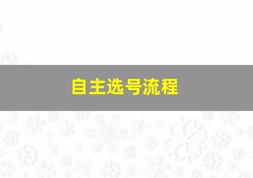 自主选号流程