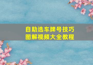 自助选车牌号技巧图解视频大全教程