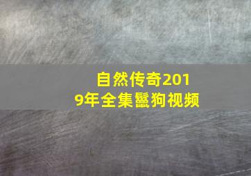 自然传奇2019年全集鬣狗视频