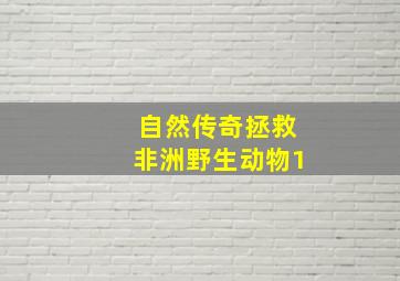 自然传奇拯救非洲野生动物1