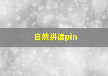 自然拼读pin