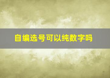 自编选号可以纯数字吗