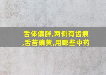 舌体偏胖,两侧有齿痕,舌苔偏黄,用哪些中药