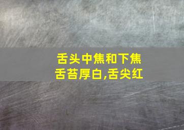 舌头中焦和下焦舌苔厚白,舌尖红