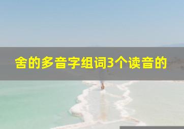 舍的多音字组词3个读音的