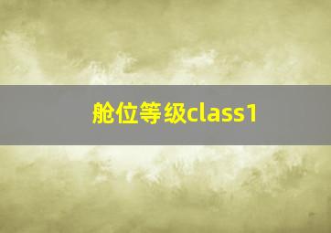 舱位等级class1