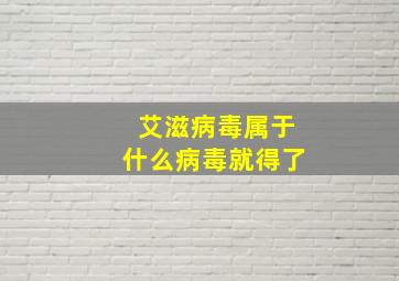 艾滋病毒属于什么病毒就得了