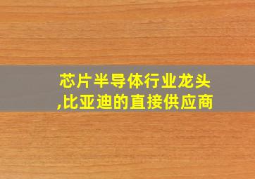 芯片半导体行业龙头,比亚迪的直接供应商