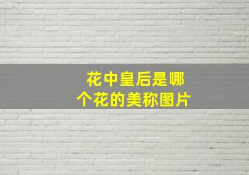 花中皇后是哪个花的美称图片