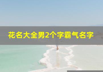 花名大全男2个字霸气名字