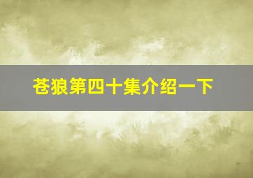 苍狼第四十集介绍一下