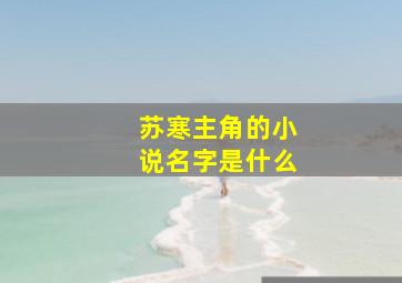 苏寒主角的小说名字是什么