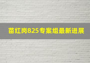 苗红岗825专案组最新进展