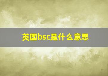 英国bsc是什么意思