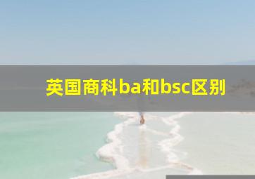 英国商科ba和bsc区别