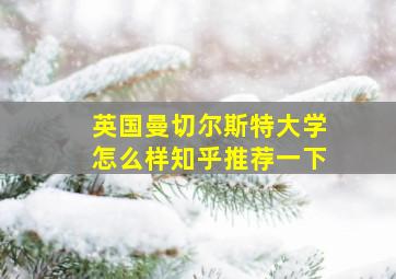 英国曼切尔斯特大学怎么样知乎推荐一下